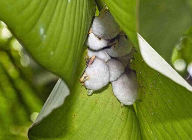 008pg国际版官网入口