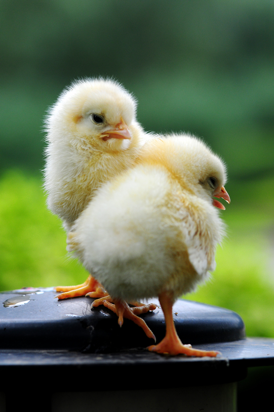 008pg国际版官网入口