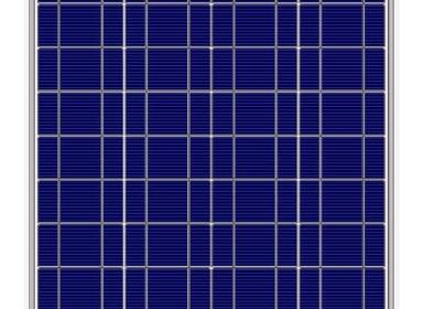 成都将办“胸模大赛” 选手健身塑形集训备战_008pg国际(图2) pg国际008国际官网
