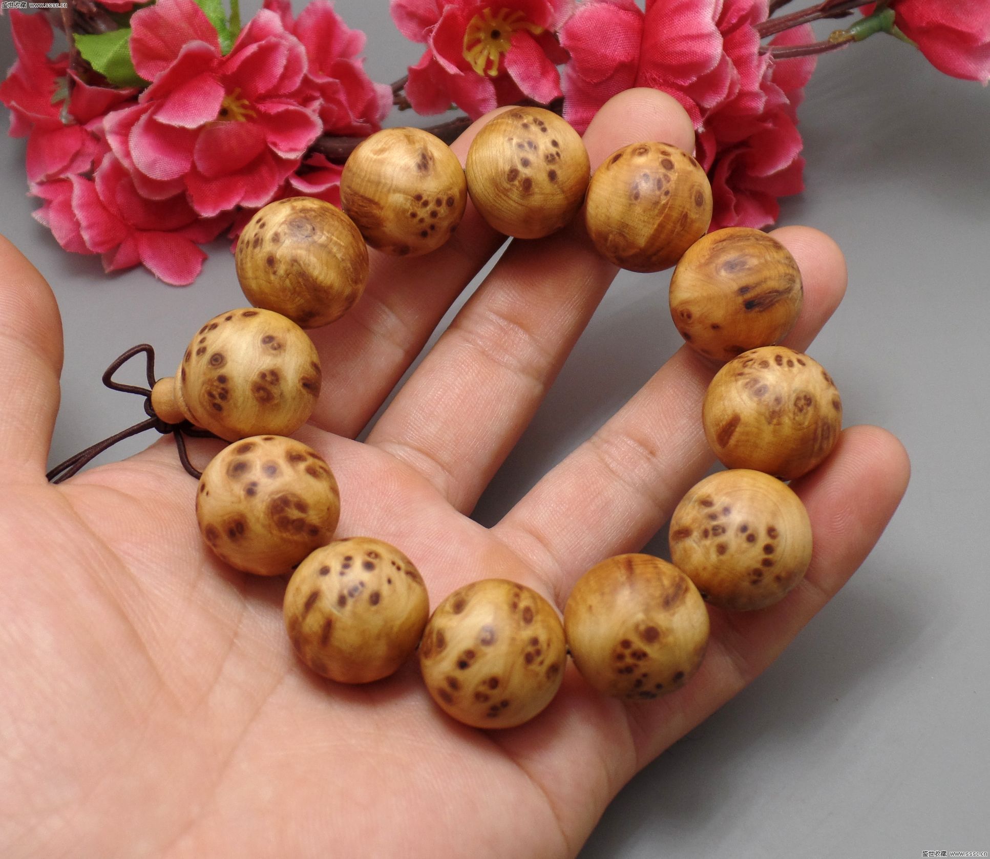 pg国际008国际官网