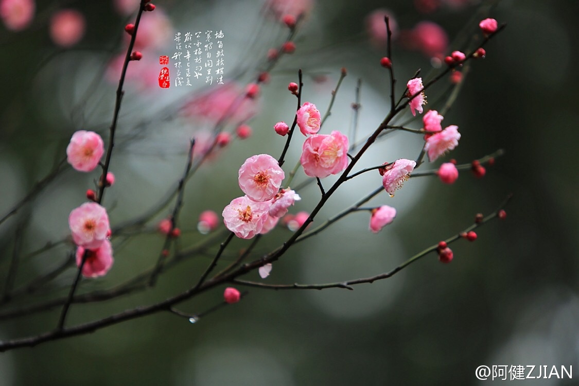 008pg国际版官网入口