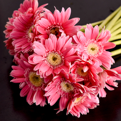 pg国际008国际官网