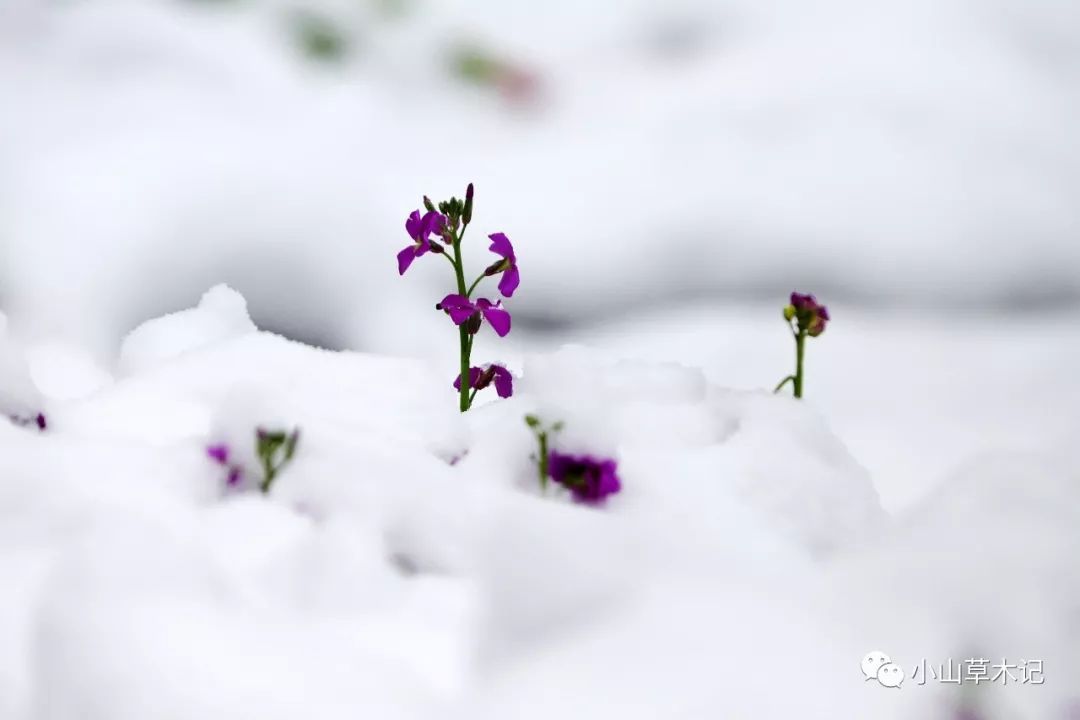 pg国际008国际官网|借助互联网谋求新发展 整形行业仍存大量改善空间(图4) pg国际008国际官网