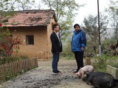 ‘008pg国际版官网入口’留守儿童保护,缺的不是法律(图2) 008pg国际