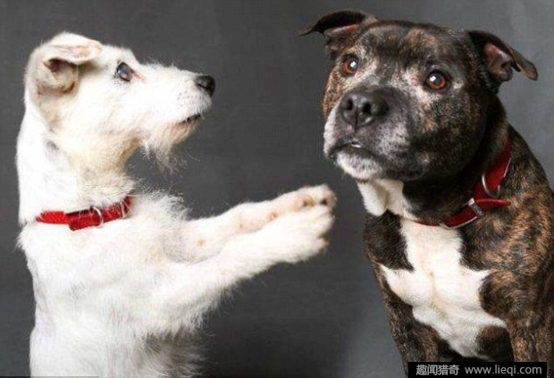 ‘008pg国际版官网入口’留守儿童保护,缺的不是法律(图3) 008pg国际版官网入口