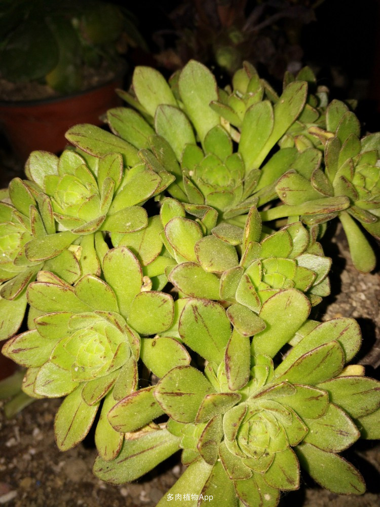 pg国际008国际官网