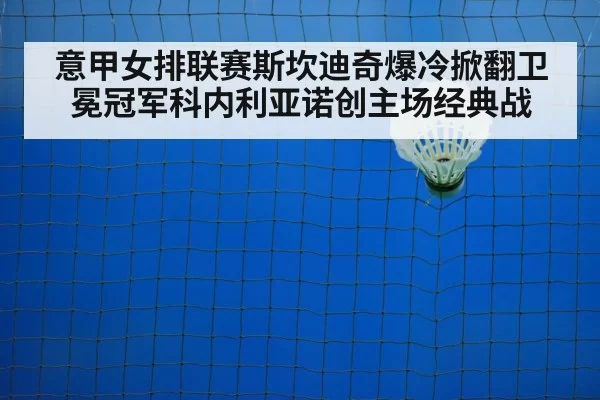 badminton net closeup